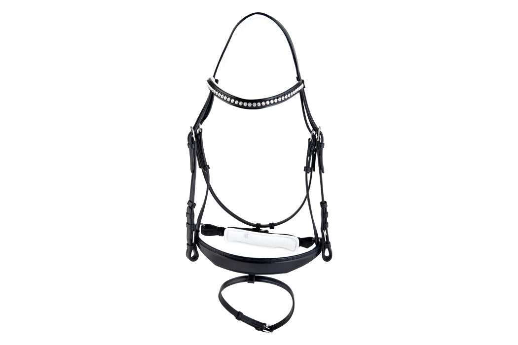 Anshu Bridle with Handle