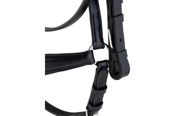 Harshit Bridle