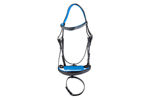 Ankur Bridle - Blue